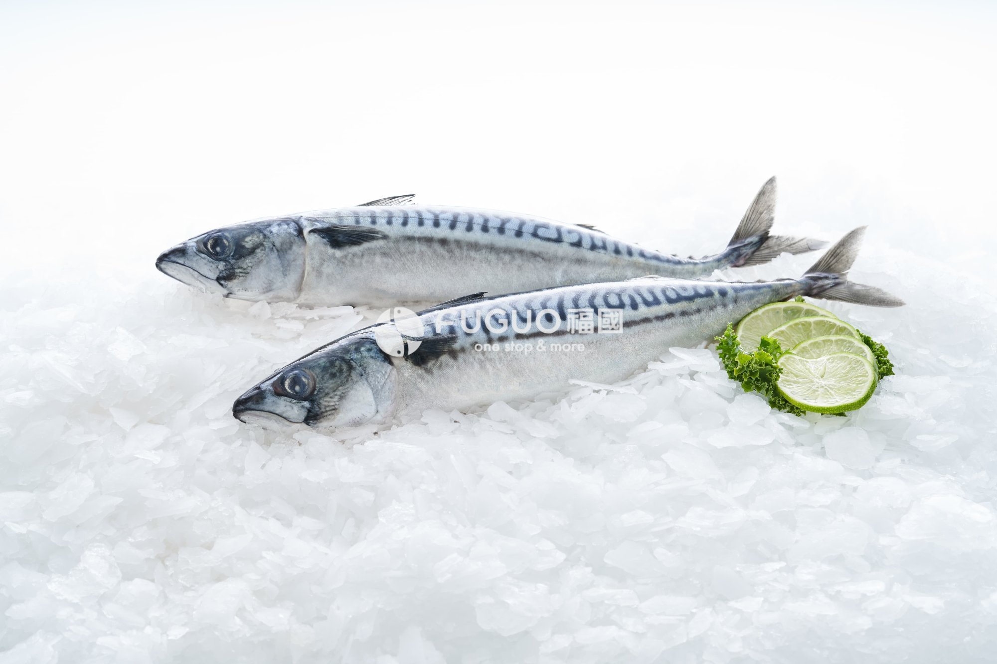 挪威鯖魚整尾(薄鹽)