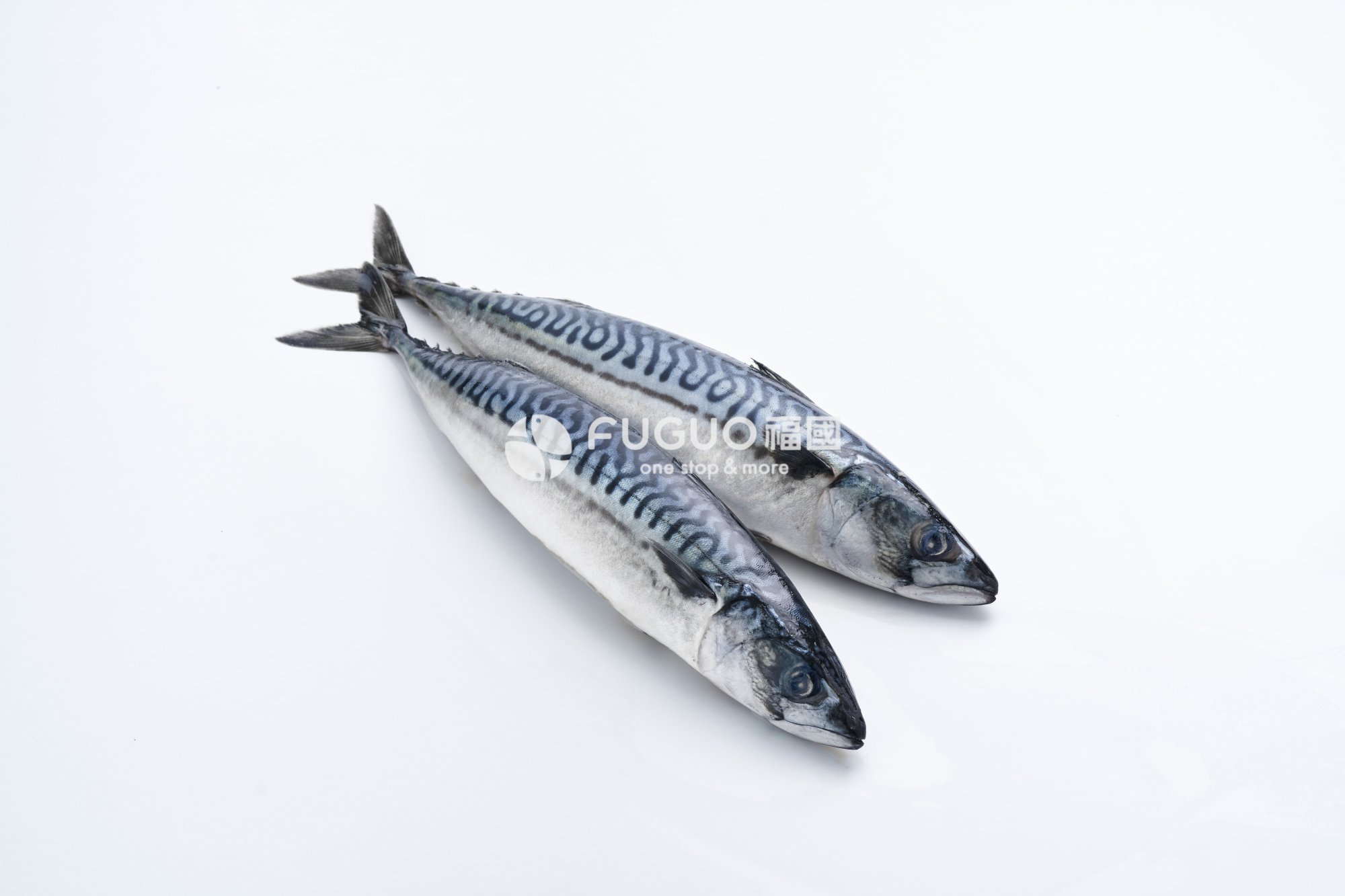 挪威鯖魚整尾(薄鹽)