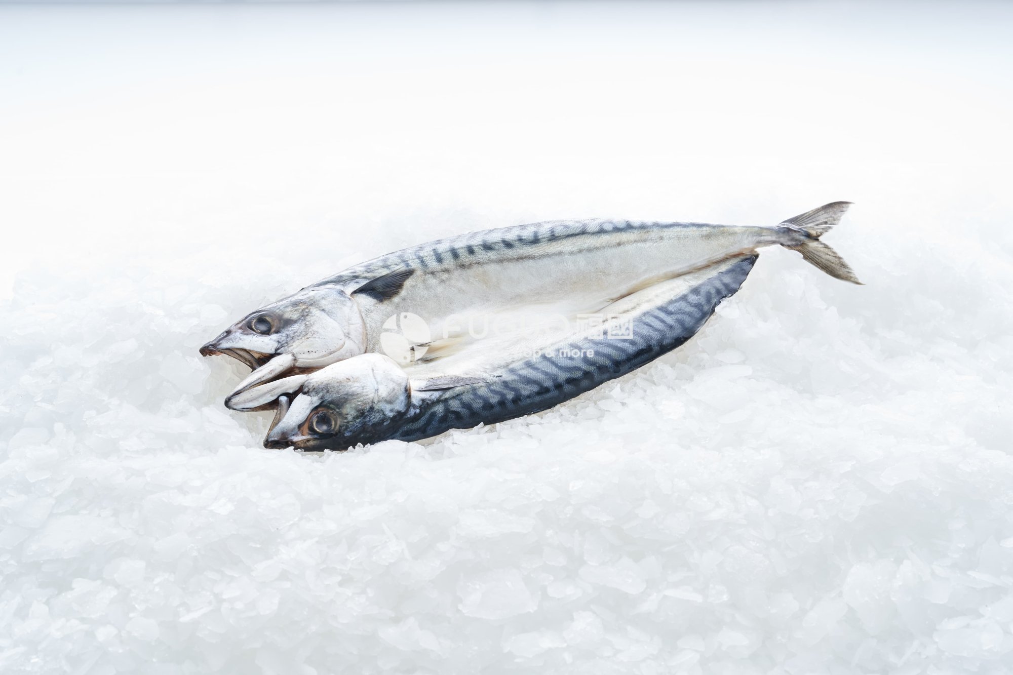 挪威鹽鯖(一夜干)