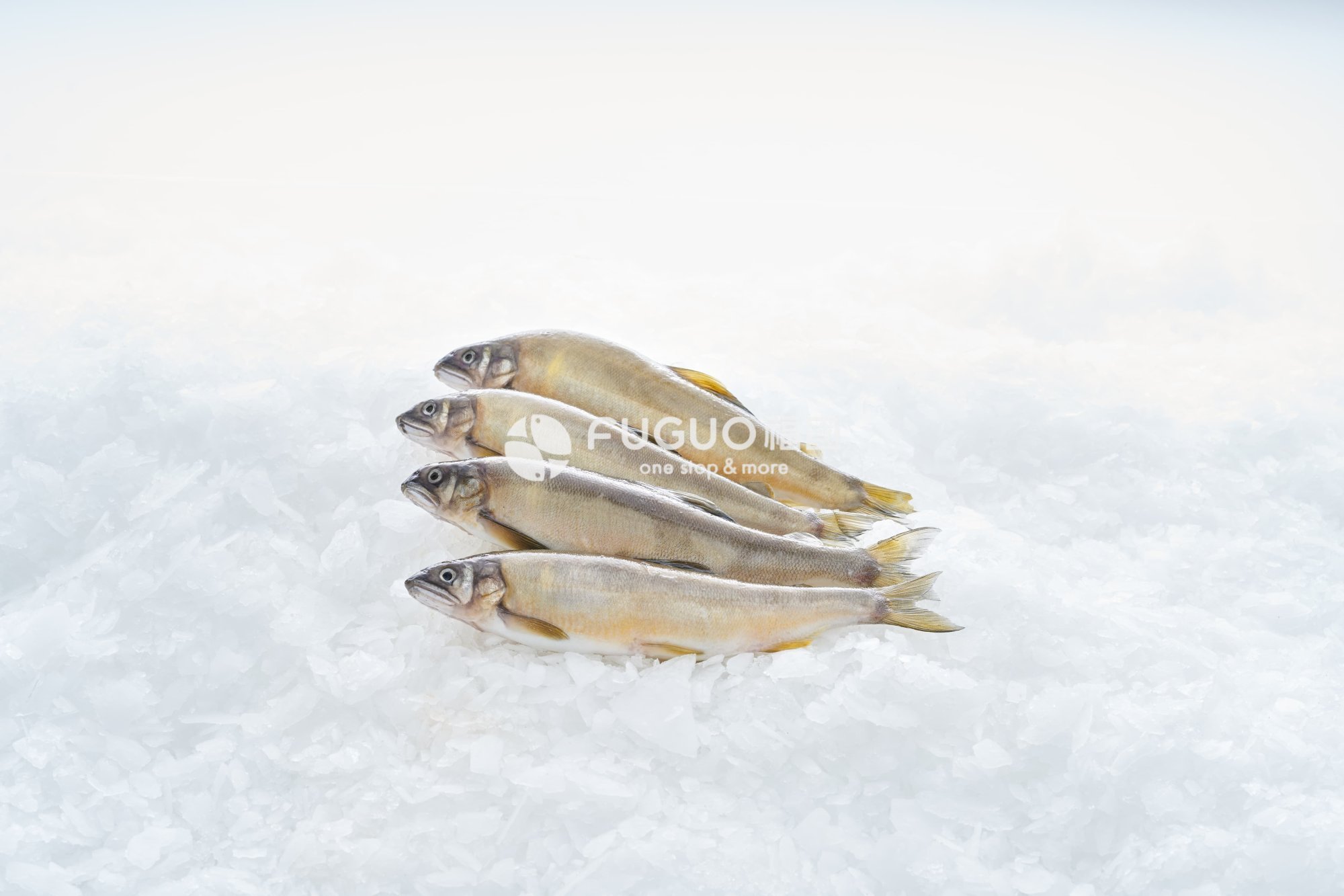 台灣香魚(公/母)