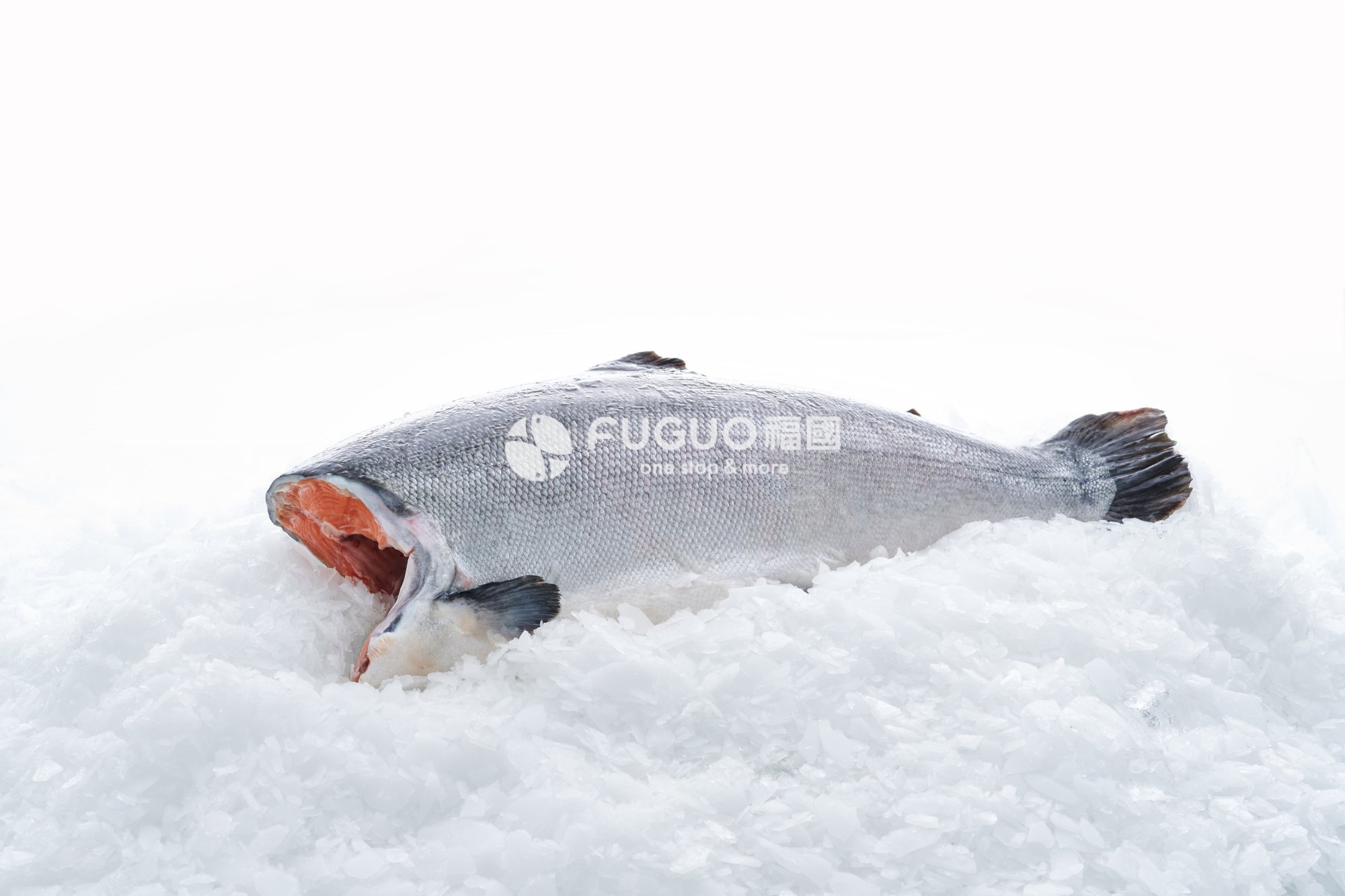 去頭銀鮭