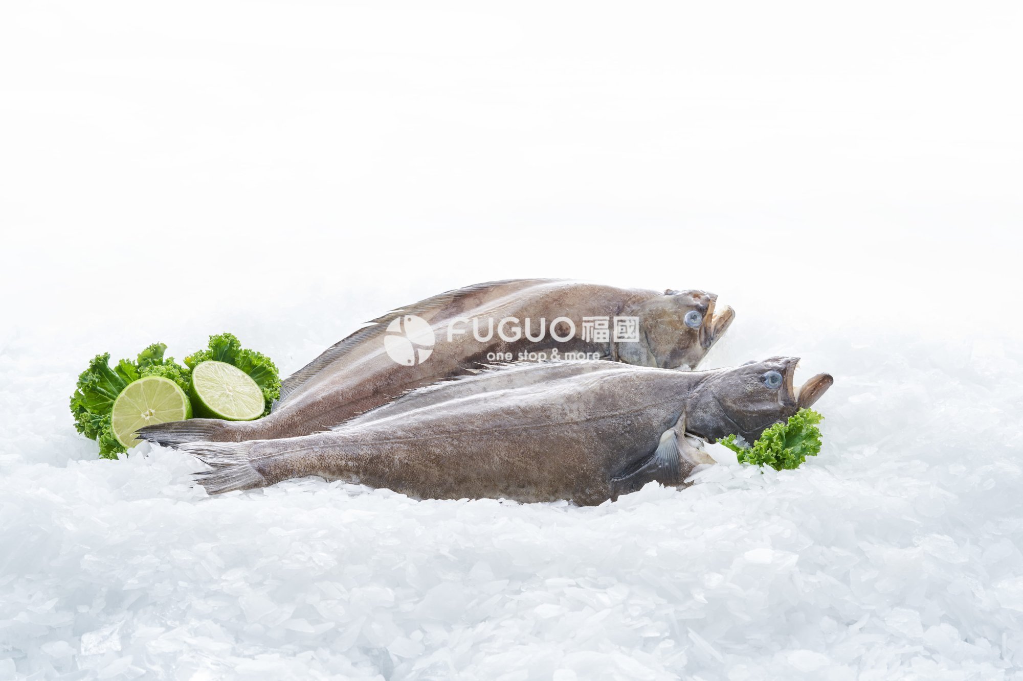 大比目魚整尾(去內臟)