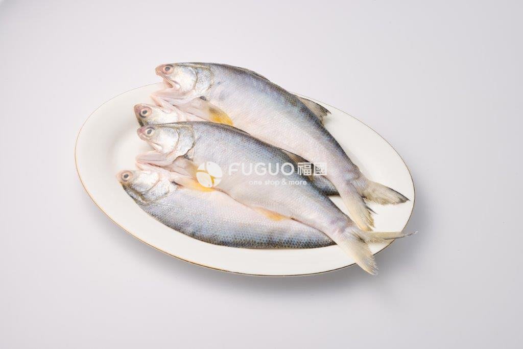 午仔魚(四指馬鮁)系列